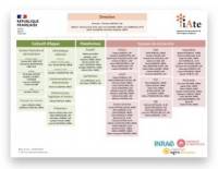 IATE_Organigramme_Icon